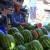Tarlabasi melon stall