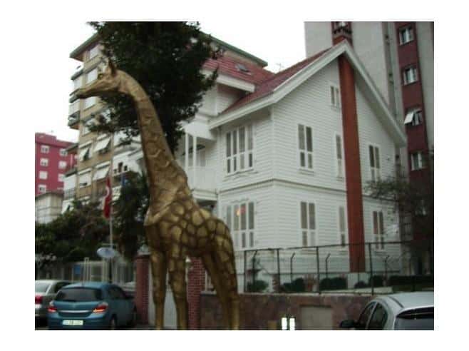 The old white mansion with the giraffes in front (Source: S. Leivers)