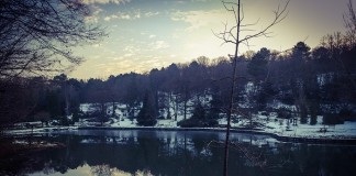 Green Getaway: Belgrade Forest