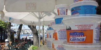 Insider Trading: Tasty, Tangy Yogurt in Kanlıca