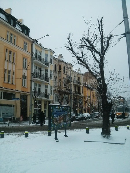 Sofia in the snow (Source: M. Oghia)