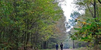 Green Getaway: Atatürk Ormanı and Florya Sahil Parkı