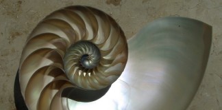 City Scherzos: Mother-of-Pearl mother-of-pearl