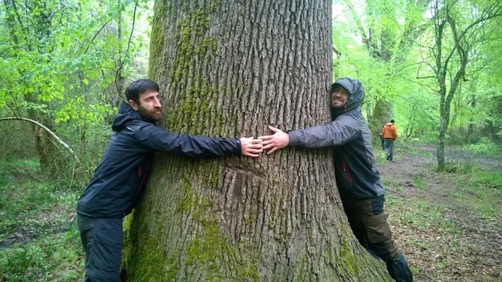 iğneada tree hugging