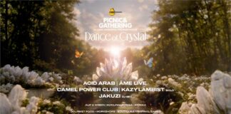 (June 13) Picnic & Gathering: Dance of Crystal @ Swissôtel The Bosphorus