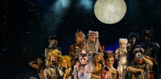 Zorlu Center is a Jellicle Cat Zorlu Center