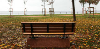 Through the Lens: Caddebostan Sahili caddebostan sahili