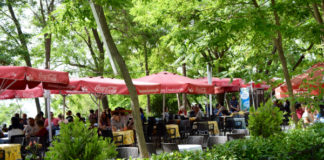 From Boza to Bourbon: Tea Gardens tea gardens