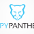 copypanthers logo small