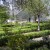 garden1