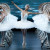 Russian Ballet