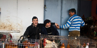 Yabangee Travel Blog: A Week In Georgia (The One Near Russia)