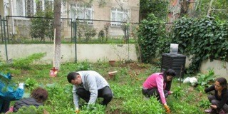 Permaculture: A Growing Trend in Istanbul