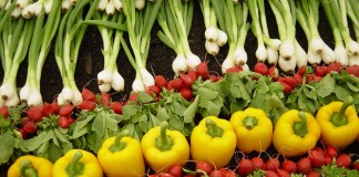 Organic Farming in Turkey