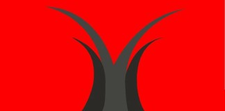 An Opportunity to Join the Istanbul International A Cappella Choir