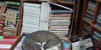 Books Set in Istanbul