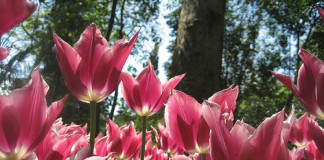 5 Best Parks in Istanbul