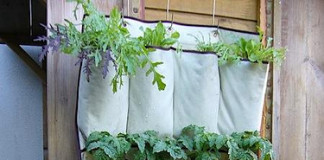 10 Gardening Projects for an Urban Home