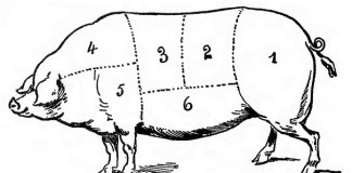 Istanbul Porkquest 2014