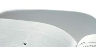 Professional English/Turkish Translation Services