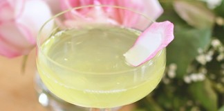 Five Cocktails to Make This Summer Close up on the rosewater cucumber gimlet handmade with local products in Istanbul.