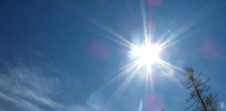 Turkish energy experts bet on solar not coal for the future