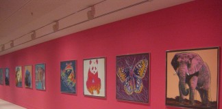 Review: “Andy Warhol: Pop Art for Everyone” @ Pera Museum Wildlife paintings from Andy Warhol exhibit at Pera Museum in Istanbul