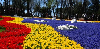 The Tulip Pilgrimage: 12 Reasons to Visit Emirgan Park ASAP emirgan park