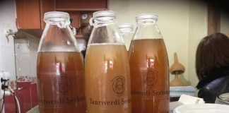 5 Burgeoning Food Trends in Istanbul food trends - serbet 2