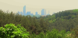 A Trip through Tarabya tarabya haci osman korusu 2