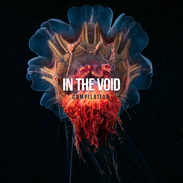 In The Void Compilation