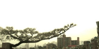 The Allure of Elsewhere