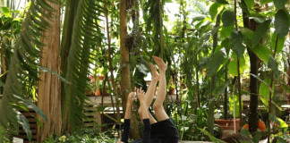 “Living/Matter: In and Through” @ Proto5533 Living/Matter: In and Through