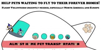 Flight Volunteers Needed: Take a Pet to their Forever Home
