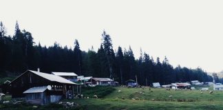 Weekend Getaway: The Green City of Düzce