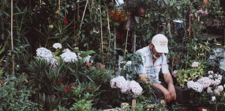 Tips for Living Eco-Friendly in Istanbul Tips for Being Eco-Friendly in Istanbul