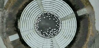 (May 11 – Jun 13) “Avant-Garde and Apocalypse” @ Dirimart