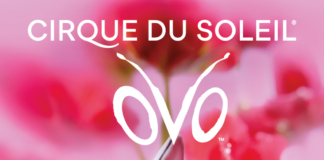 (May 21-24) OVO – Cirque du Soleil @ Ülker Sports and Event Hall
