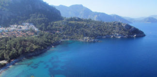 Southern Excursion: Turunç Turunç