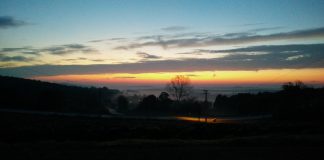 Learning and Growing on a Turkish Organic Farm with TaTuTa