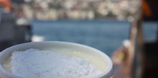 We Cut Yogurt With a Knife We Cut Yogurt With a Knife