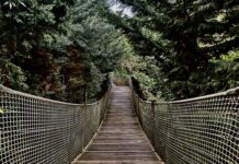 A Soul Between Worlds in Istanbul: The Quiet Ache of Never Belonging