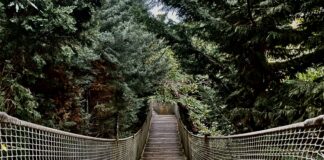 A Soul Between Worlds in Istanbul: The Quiet Ache of Never Belonging