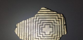 Formicarium: Maintaining the Collective Memory of the City of Ants Formicarium