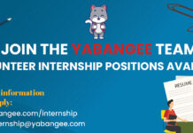Yabangee Seeks Student Interns: Editorial & Communications Coordinator; Social Media & Video Coordinator