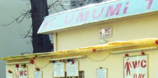 A Five Star Toilet – Bathroom Tales in Turkey