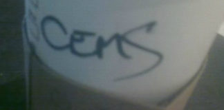 A (Satirical) Guide to Some Proposed New Turkish Laws Some Proposed New Turkish Laws