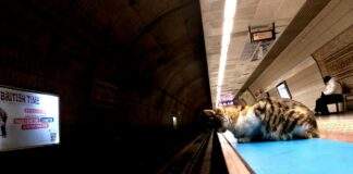 Five Years Later, A Yorgunluk Kahvesi