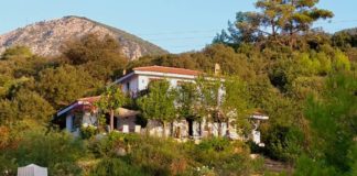 The Lazy Olive: Book Your Mountain Getaway Near Olympos and Lycia’s Gorgeous Beaches