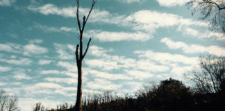 Terrorism in Turkey Living with Terror